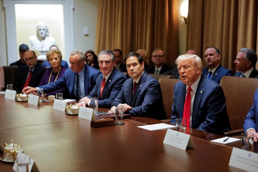 Trump Administration Live Updates: Trump, at Cabinet Meeting, Says He’ll Meet Zelensky and Praises Musk